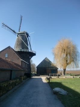 Stevensweert NL : Bilt, die Hompesche Molen ( ehem. Getreide- und Ölmühle ) aus dem Jahr 1722, ist mit acht Stockwerken, einschließlich Flügel fast 37 Meter hoch und somit die höchste Mühle der Provinz Limburg. Sie beherbergt das Infozentrum der Grenzmaas ( der Niederlande und Belgien ).